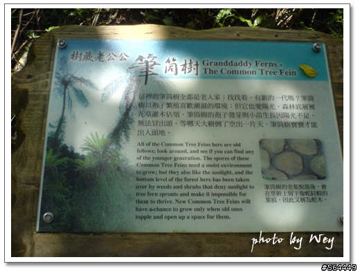 新寮瀑布