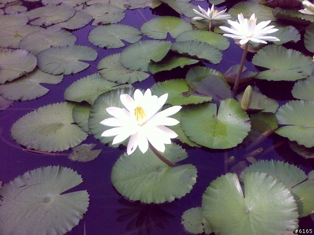 [旅遊] 我在石澳 - 天氣晴