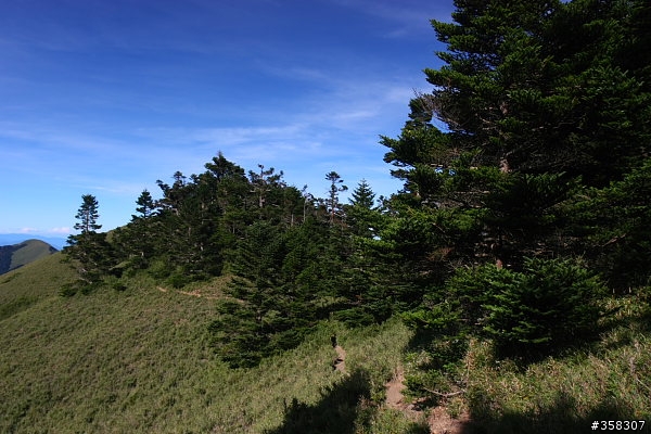 北、西合歡山