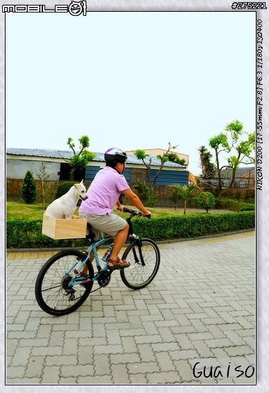 【登山車載狗DIY分享文】叮噹車窩的製作過程