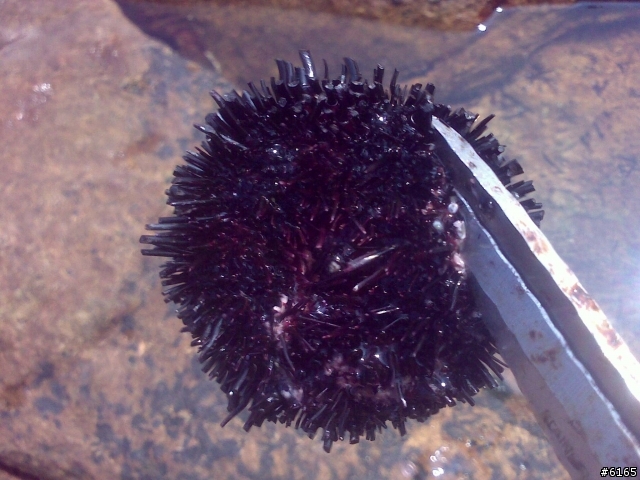 [旅遊] 我在石澳 - 天氣晴