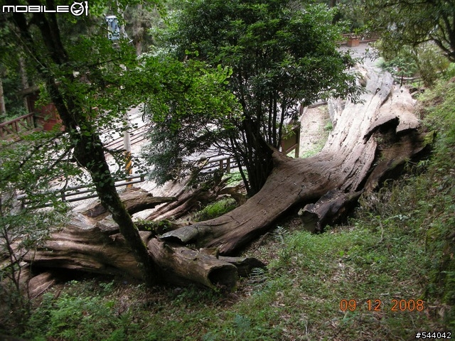 阿里山‧浪人獨行(09/10~09/12)