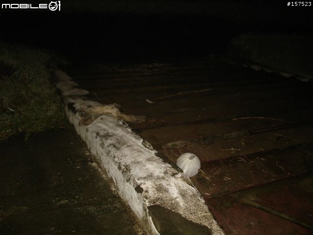 [路況報導] 基隆河左岸  彩虹橋~大直橋