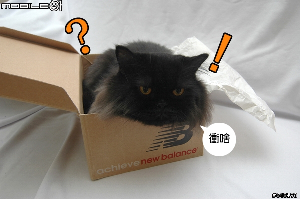 NEW BALANCE 507 遇見DORCUS[開箱]