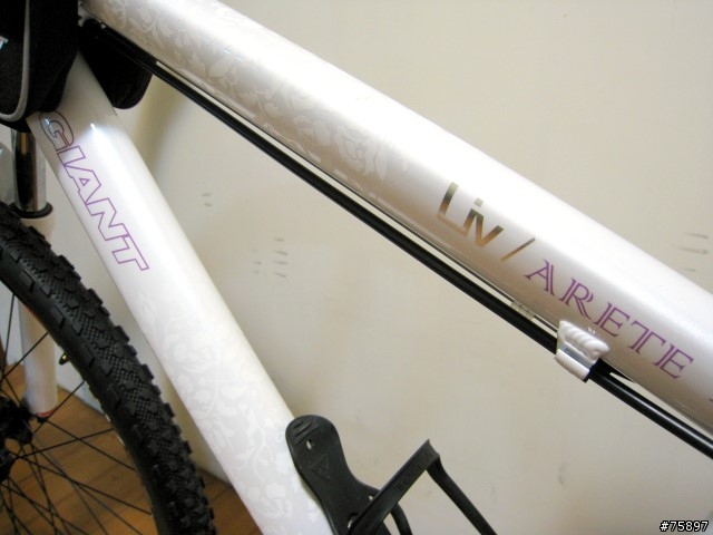 [分享]女王的新車 Giant Liv車系 ARETE 2