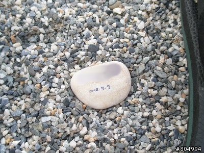 [環島]2008夏季機車環島-第1天-台北→花蓮(262P)