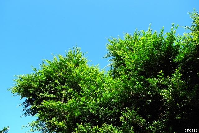 K牌顏色 VS R牌顏色  你喜歡哪一味?