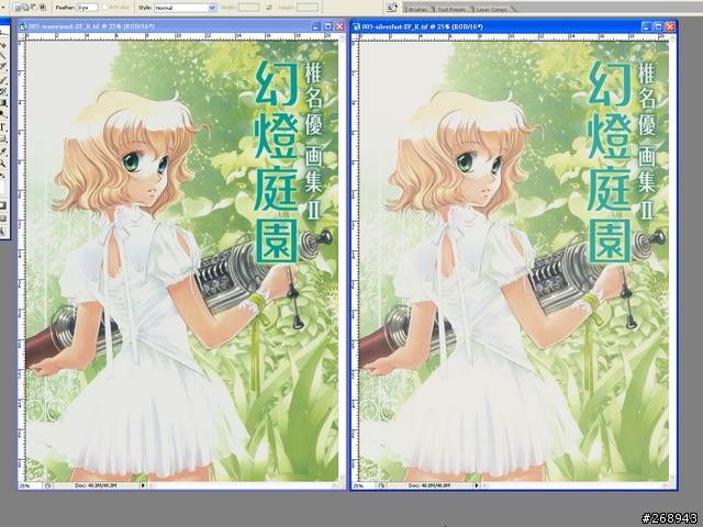 [080904] 平台底掃Microtek ArtixScan F1與色彩管理 - 其之二