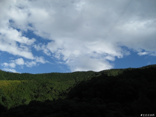 颱風前夕大雪山林道巡禮97.9.27