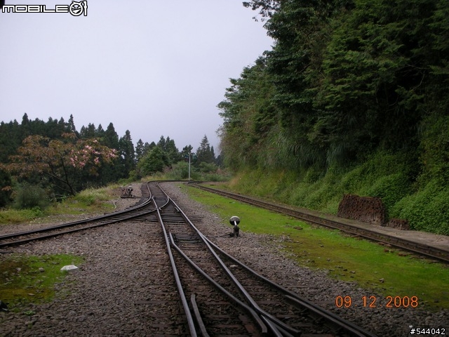 阿里山‧浪人獨行(09/10~09/12)