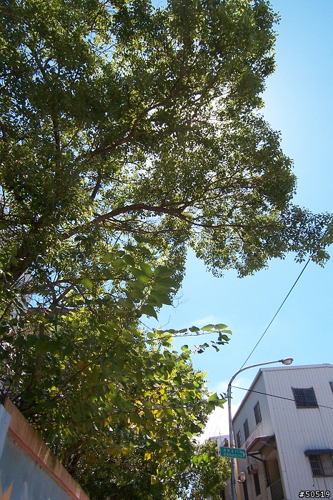 K牌顏色 VS R牌顏色  你喜歡哪一味?