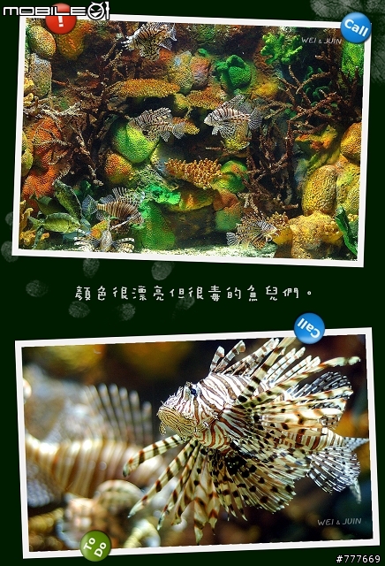 澎湖遊記