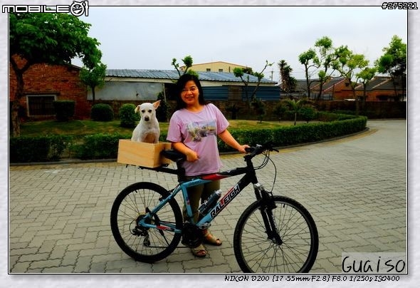 【登山車載狗DIY分享文】叮噹車窩的製作過程