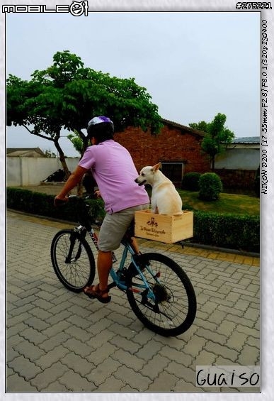 【登山車載狗DIY分享文】叮噹車窩的製作過程