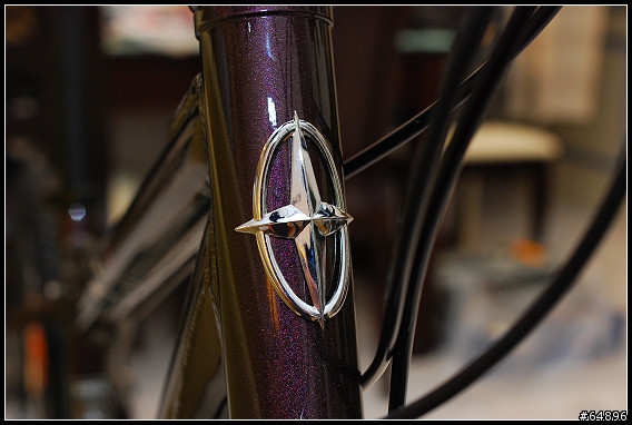 [分享]SCHWINN MESA D 2008 開箱