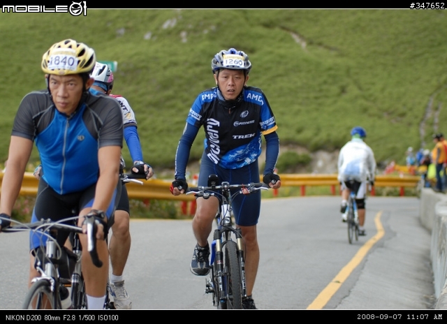2008.09.07 武嶺 『600多張照片，不喜勿入』