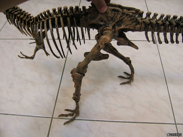 算不算是逸品呢?暴龍 Tyrannosaurus(霸王龍)
