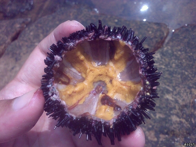 [旅遊] 我在石澳 - 天氣晴