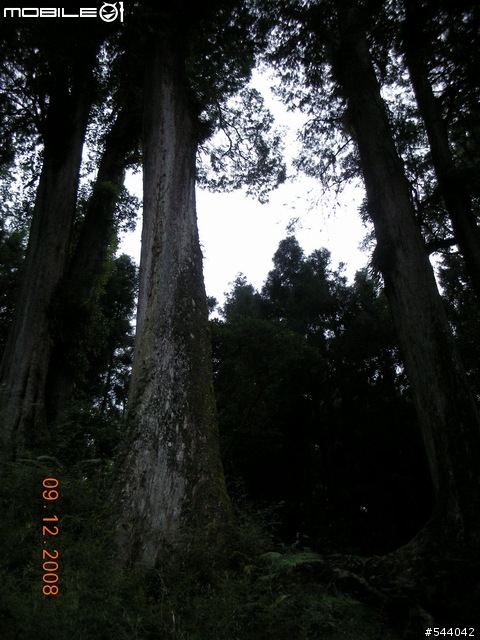 阿里山‧浪人獨行(09/10~09/12)