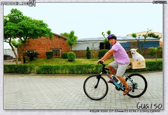 【登山車載狗DIY分享文】叮噹車窩的製作過程