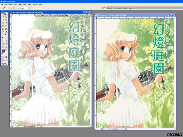 [080904] 平台底掃Microtek ArtixScan F1與色彩管理 - 其之二