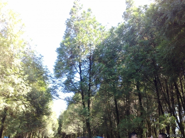 [照片分享]北山坑一日行....