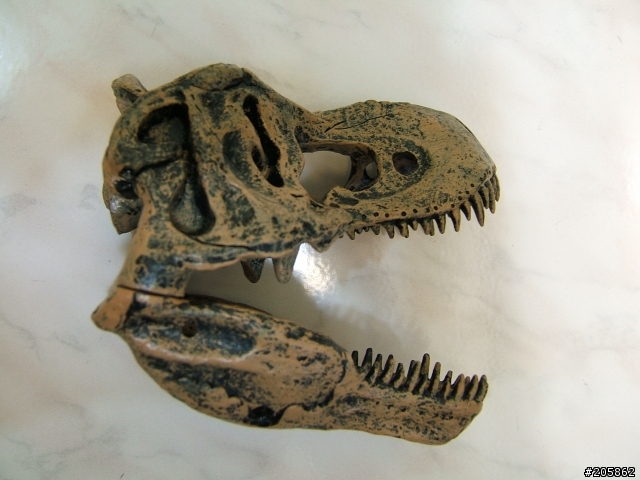 算不算是逸品呢?暴龍 Tyrannosaurus(霸王龍)