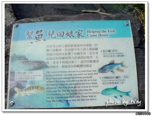 新寮瀑布