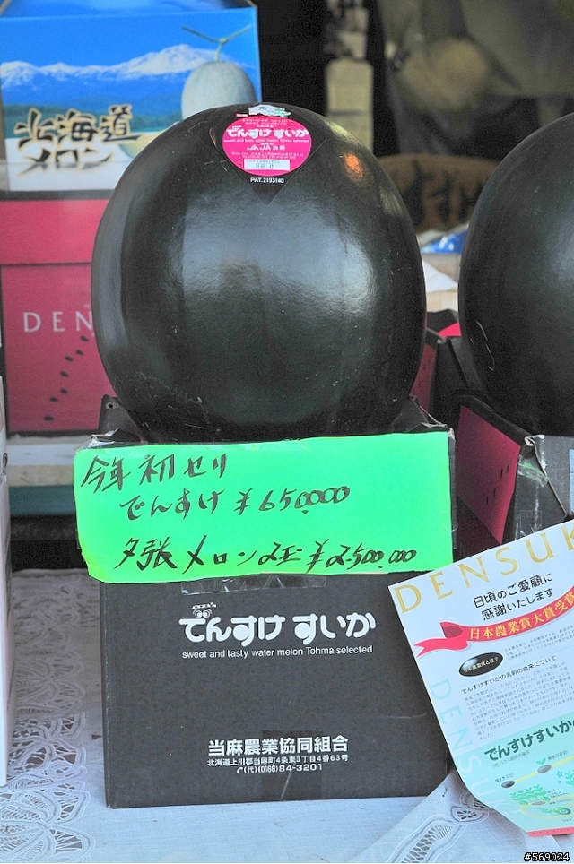 這是西瓜~~~
