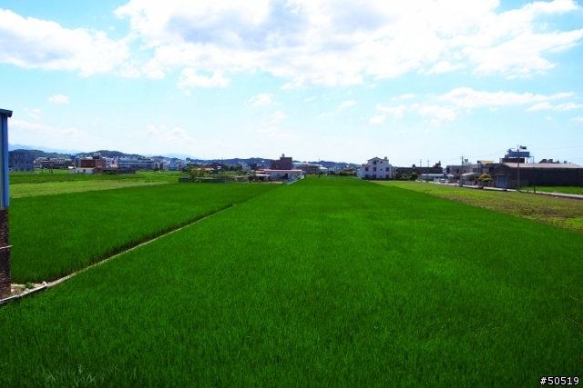 K牌顏色 VS R牌顏色  你喜歡哪一味?