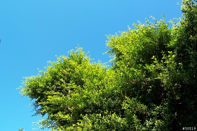 K牌顏色 VS R牌顏色  你喜歡哪一味?