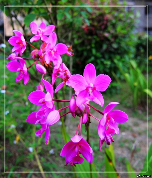 SONY DSC-T700 畫質普普！