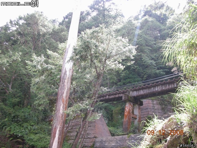 阿里山‧浪人獨行(09/10~09/12)