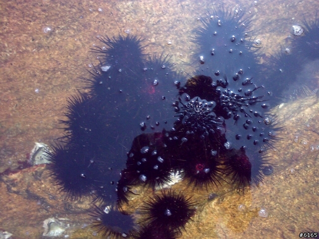 [旅遊] 我在石澳 - 天氣晴