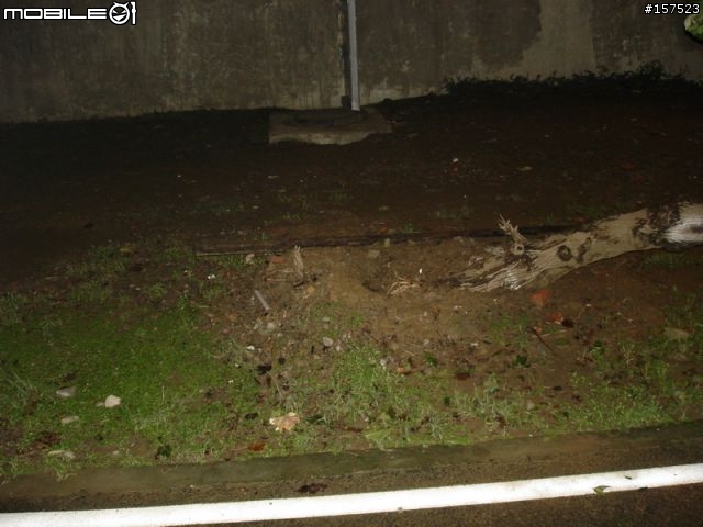[路況報導] 基隆河左岸  彩虹橋~大直橋