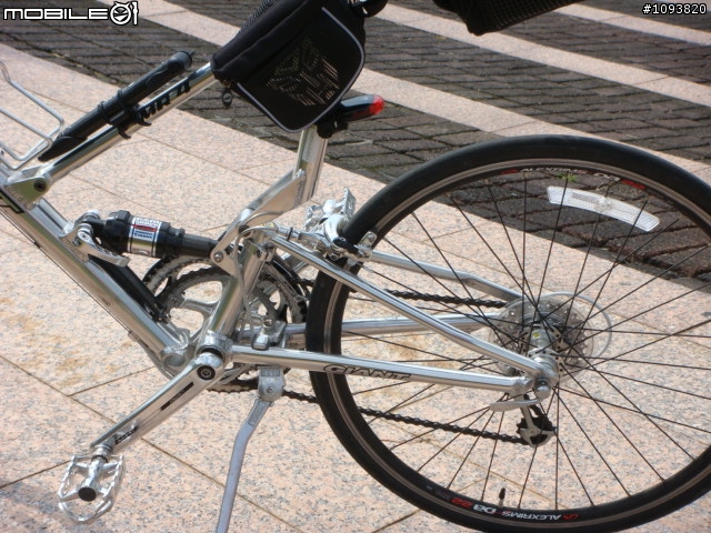 2008 高雄國際無車日