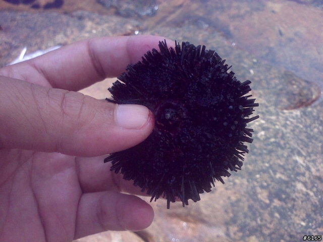 [旅遊] 我在石澳 - 天氣晴