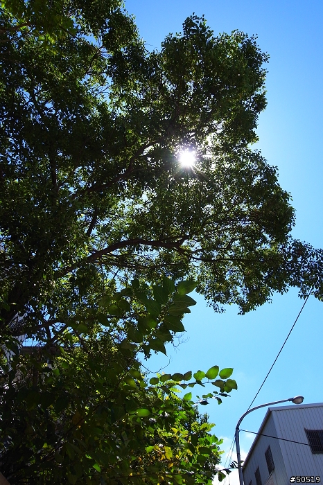 K牌顏色 VS R牌顏色  你喜歡哪一味?