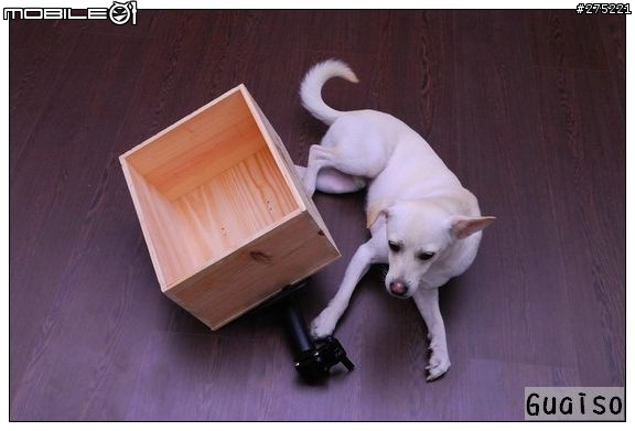 【登山車載狗DIY分享文】叮噹車窩的製作過程