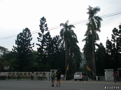 [環島]2008夏季機車環島-第3天-墾丁→嘉義(222P)
