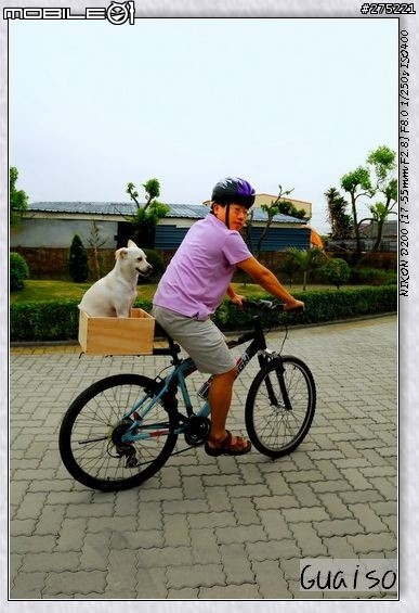 【登山車載狗DIY分享文】叮噹車窩的製作過程