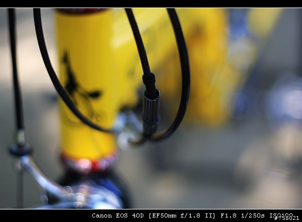 Airnimal Chameleon 一台值得推薦的好車----分享by bikeryoyo