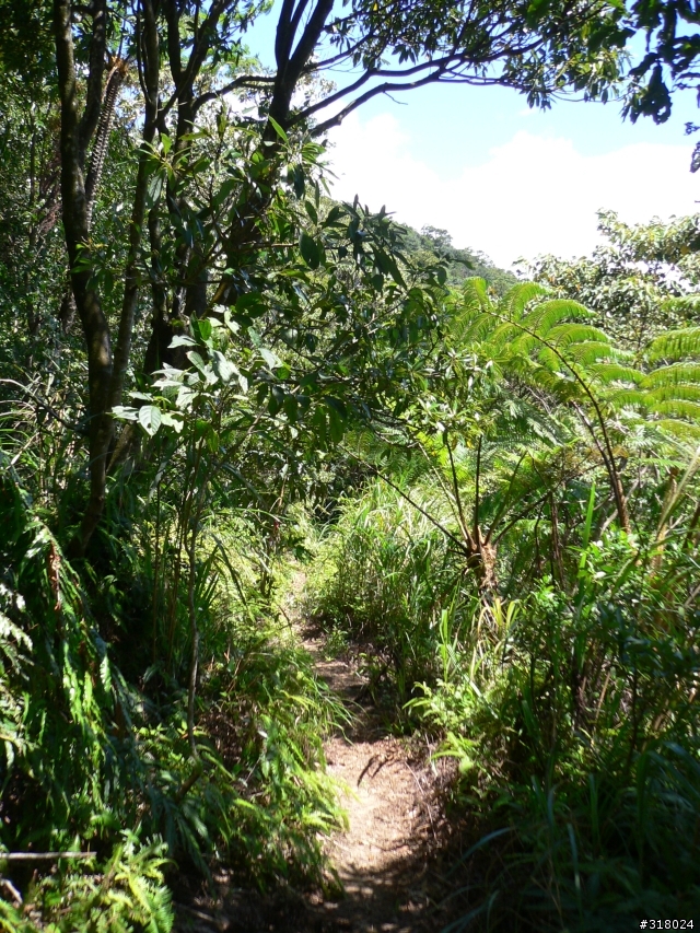 貓空新OFFROAD路線探路報告