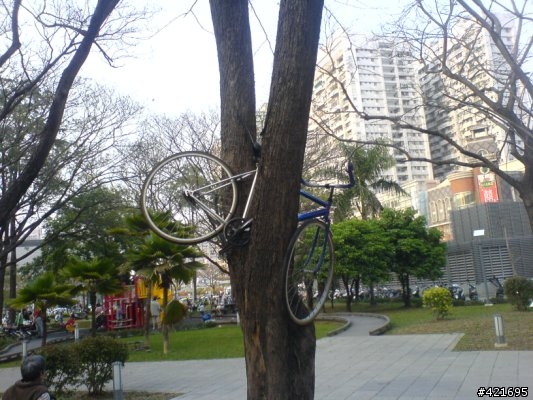 [分享]單車防盜--效果不錯