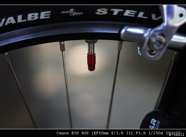 Airnimal Chameleon 一台值得推薦的好車----分享by bikeryoyo