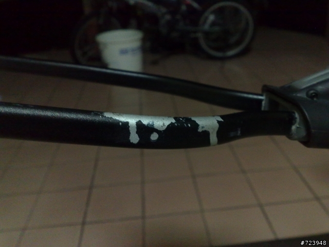 <求救>遭受鳥屎攻擊@@"