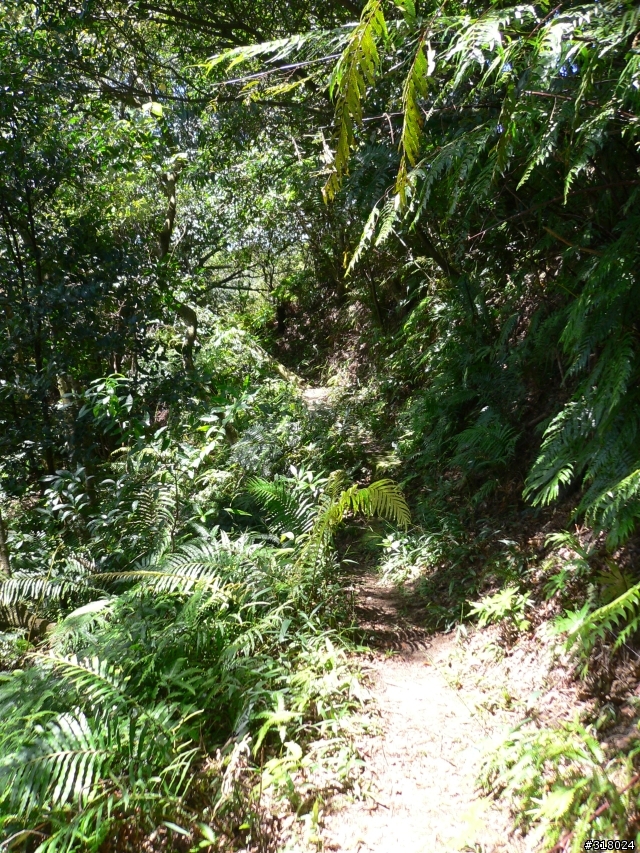 貓空新OFFROAD路線探路報告