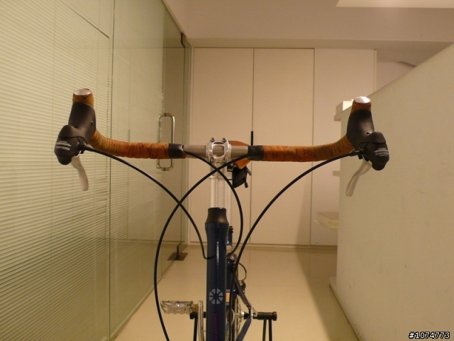【分享】DAHON SMOOTH HOUND 6.0 小改裝