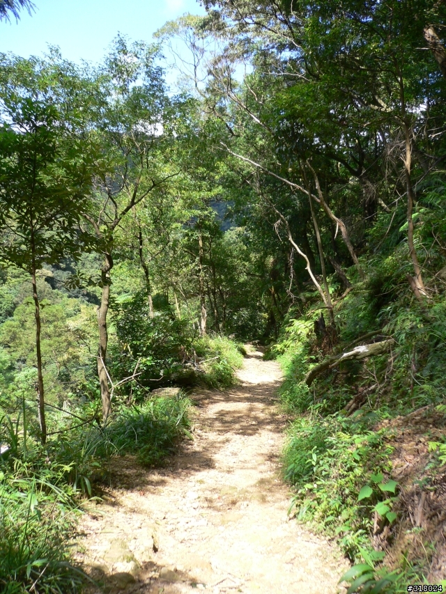 貓空新OFFROAD路線探路報告