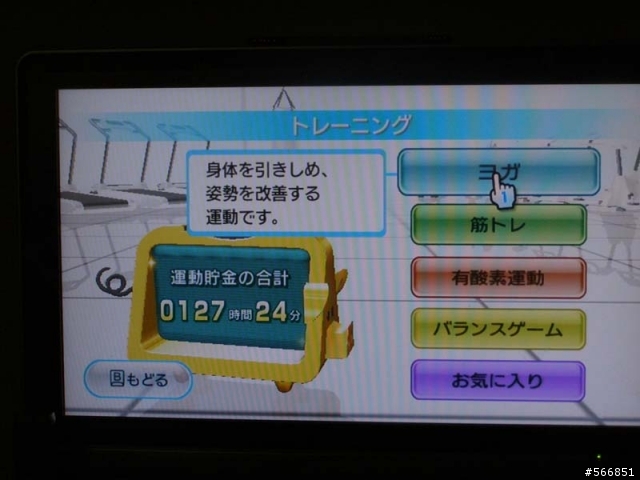 Wii FIT 個人使用心得